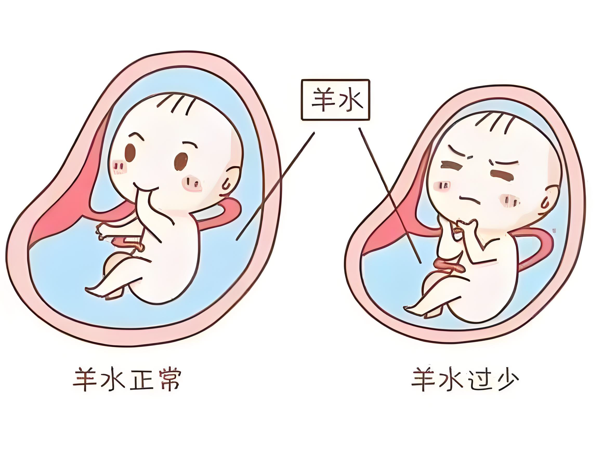 1762570524776557.png 1.png