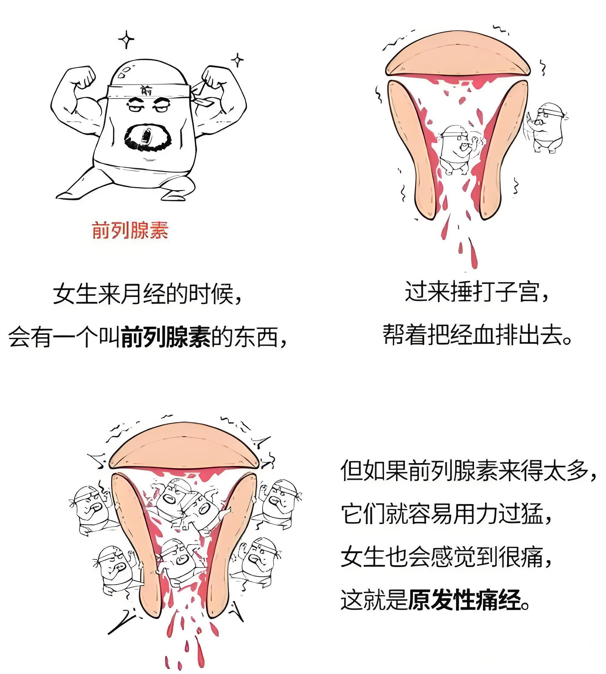 1768274691584991.jpg 2.jpg